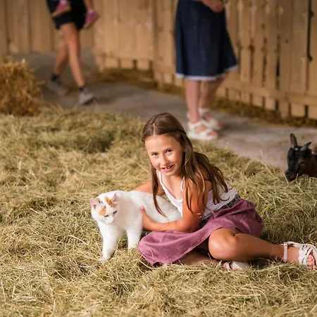 Almchalet Linharterhof Appartement Haus im Ennstal