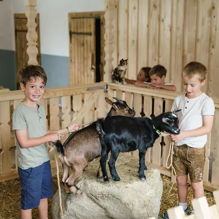 Almchalet Linharterhof *