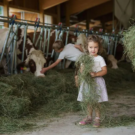 Apartment Almchalet Linharterhof *