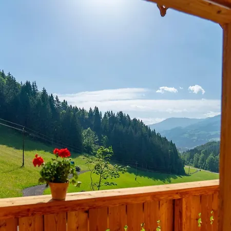 Apartment Almchalet Linharterhof