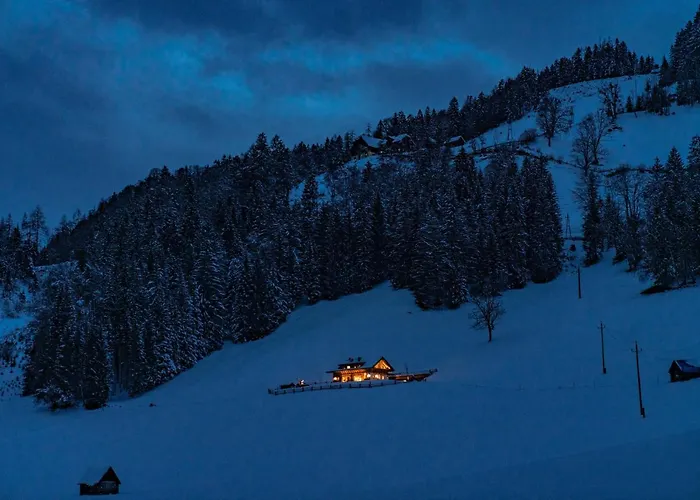 Almchalet Linharterhof Haus im Ennstal